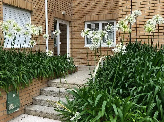 Casa Ofir * Esposende